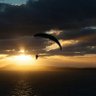 Sky profil fotoğrafı