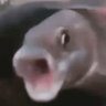 Profilbild von Stya