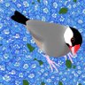 エクラベリー 𝓝𝓪𝓸𝓶𝓲 𝓣𝓪𝓴𝓮𝓾𝓬𝓱𝓲 的头像