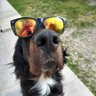 Profilbild von Vincent CORBIERE