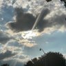 Olo profil fotoğrafı