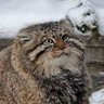 Игорь Емельянов's profile picture