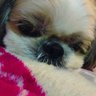 ゆみゆみ profil fotoğrafı