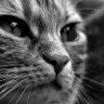 vlado and goca profil fotoğrafı