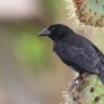 Фото профиля Bird Up