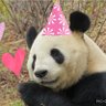 Profilbild von マミ