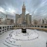 ابو مجعص المنجلي's profile picture