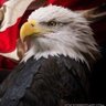 Profilbild von 水明🇺🇸