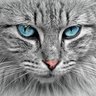 Фото профиля Annie Lotto