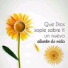 Santiagoramonjacinto@gmail.Com's profile picture