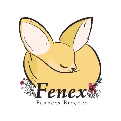 fenex_osaka's profile picture