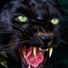 Antigansoganso's profile picture