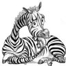 loti's profile picture
