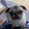 Profilbild von GINA(ジナ)