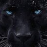 عابر سبيل's profile picture