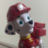 Marshall's profile picture