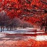 Kapil Jain profil fotoğrafı