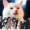 Krazy's profile picture