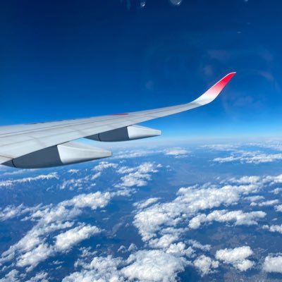CAちゃん✈︎'s profile picture