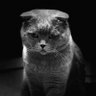 Ірина's profile picture