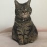 miumiu1129 profil fotoğrafı