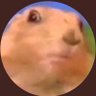 Fer Nanda's profile picture
