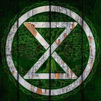 ExtinctRebelsIE's profile picture