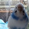 Profilbild von みほ