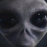 Profilbild von AlienXNA47Biz