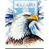 AQUILAROMANA profil fotoฤrafฤฑ