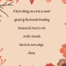 Фото профиля Sal