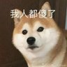Profilbild von young
