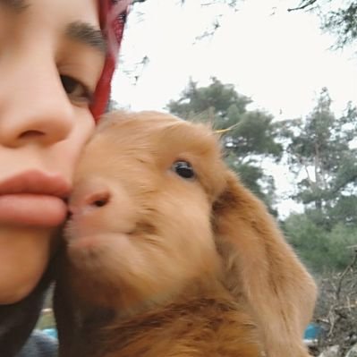 gezzenoglak's profile picture