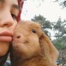 gezen oğlak profil fotoğrafı