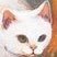 Profilbild von KingFatCat
