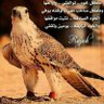 ابواحمد profil fotoğrafı