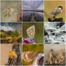 Фото профиля JHR-Photography