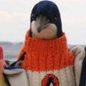 Highly Toxic Penguin 的头像