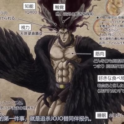 bedcannon's profile picture