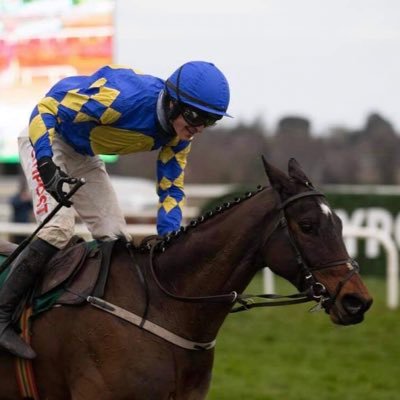 Danny Mullins's profile picture