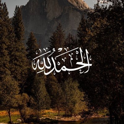 zalqn11's profile picture