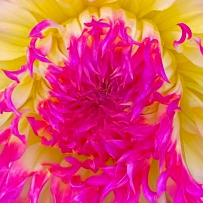 FfunSf's profile picture