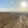 Фото профиля بنت الامير