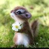 CoffeeLady profil fotoğrafı