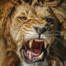 Profilbild von โAbdulsamadโ not Abdulsalam!!!