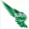 🇸🇦🇸🇦عاشق تراب المملكه🇸🇦🇸🇦 profil fotoğrafı