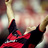 Francisco Carvalho's profile picture