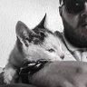 Arben Vllasaliu's profile picture