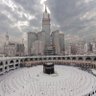 صالح العلي's profile picture