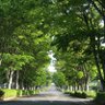 Фото профиля 高田